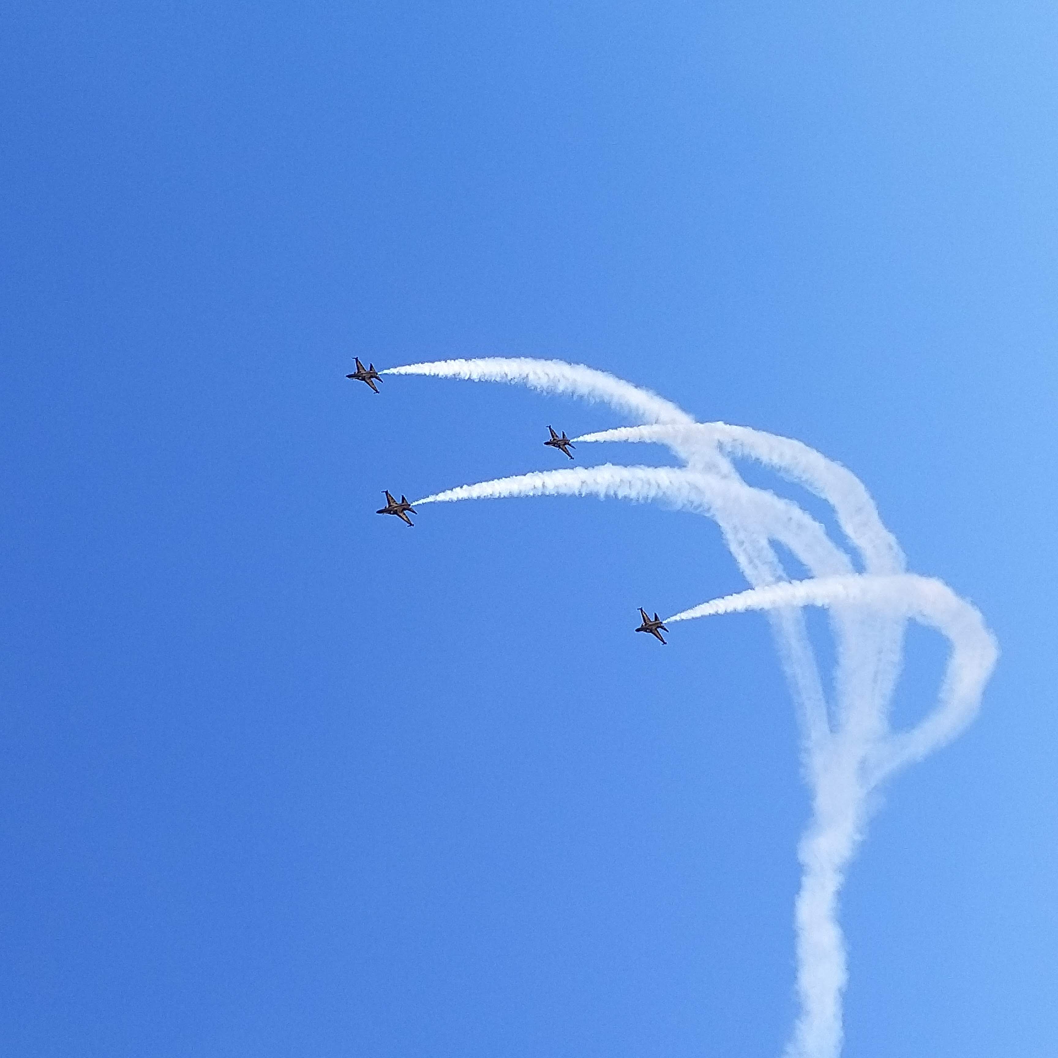 ADEX 2021 블랙 이글스